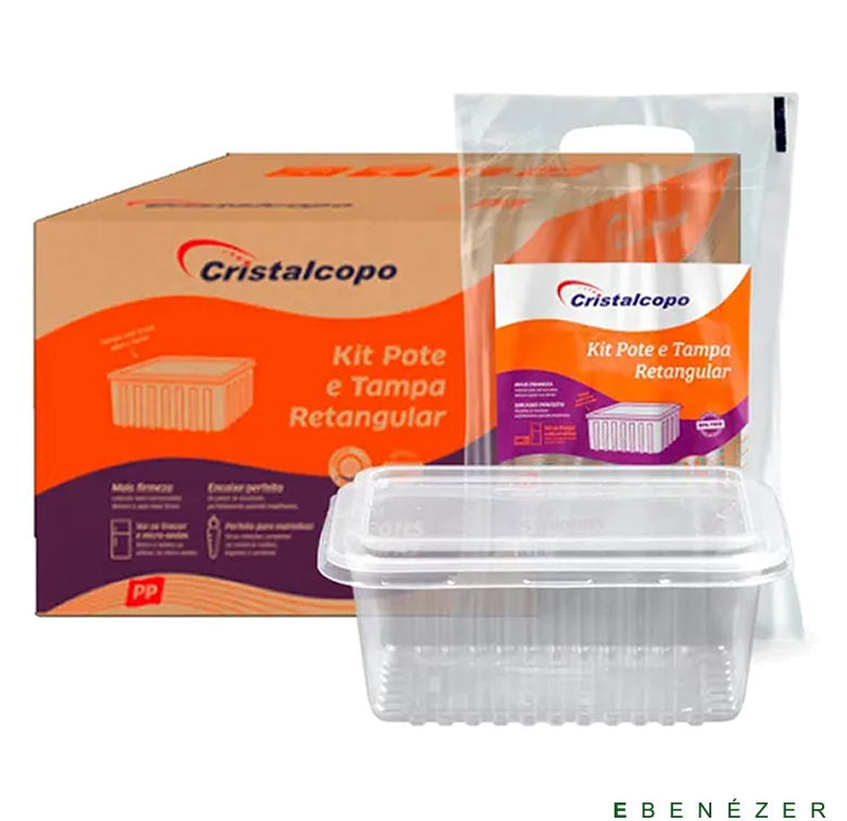 kit pote retangular com tampa 500ml cristalcopo 0109